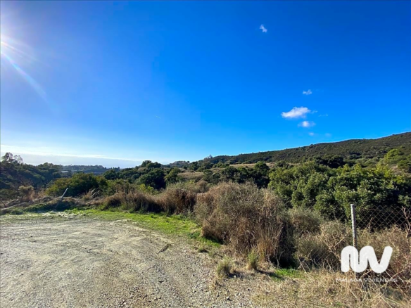 Land In Estepona, Spain (500 M² Plot)