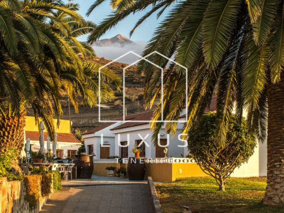 14-bedroom Villa In La Guancha, Spain (934 M²)