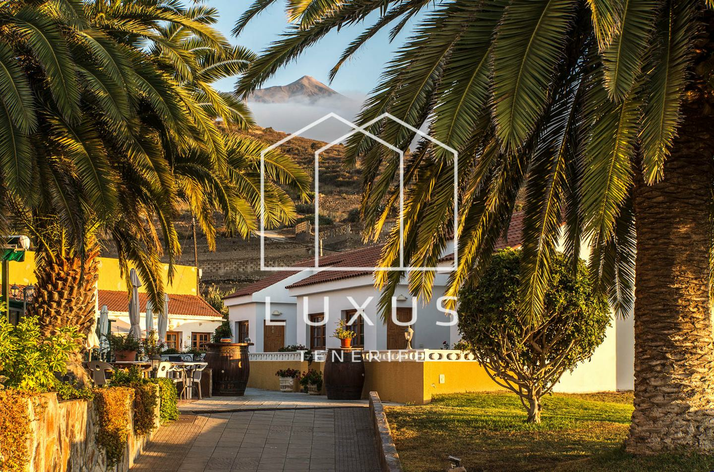 14-bedroom Villa In La Guancha, Spain (934 M²)
