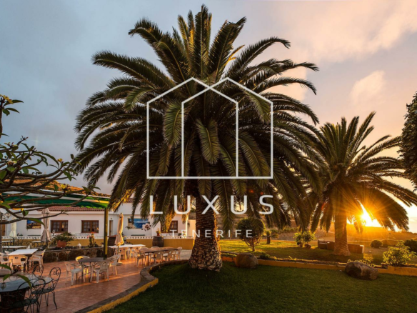 14-bedroom Villa In La Guancha, Spain (934 M²)