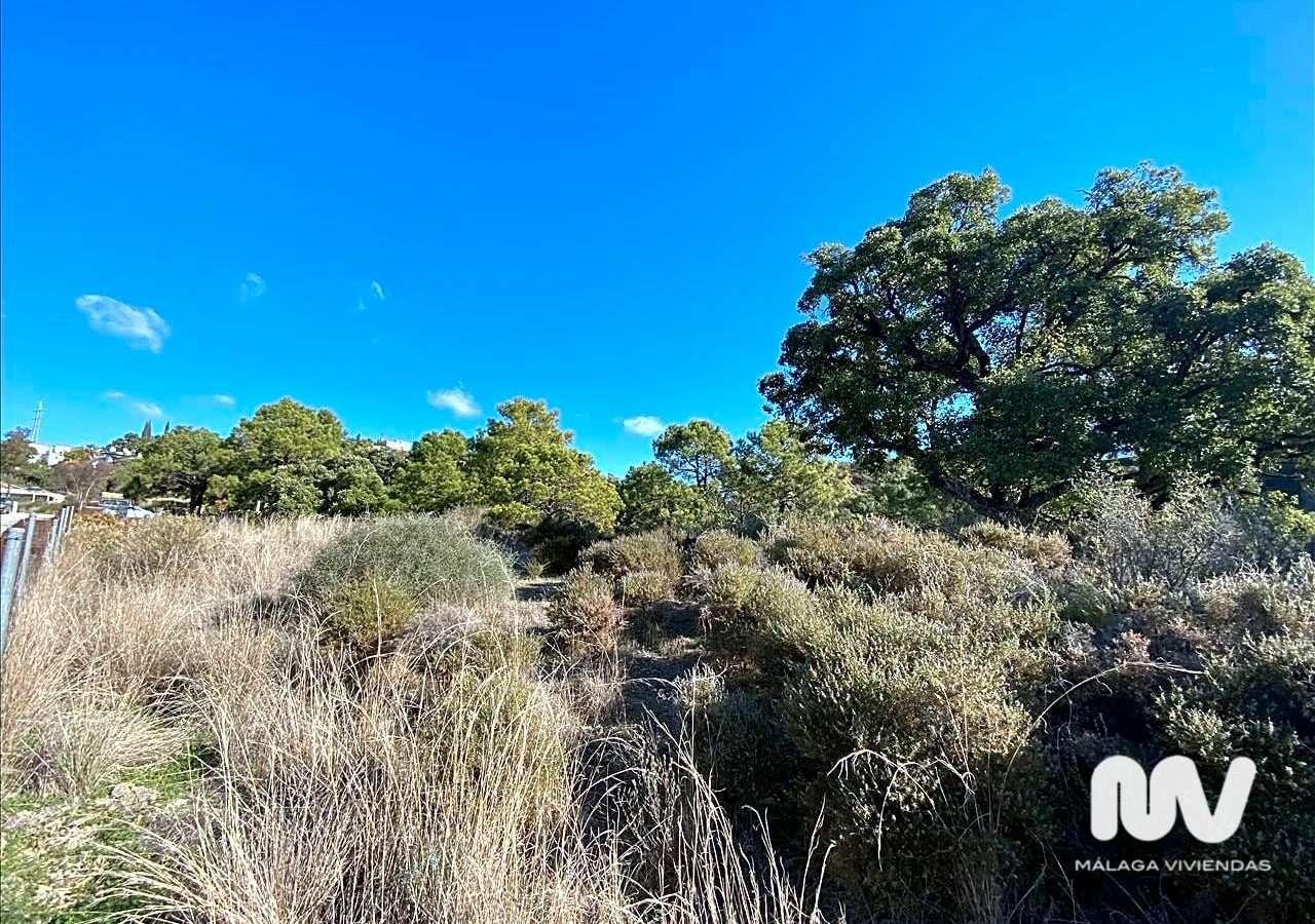 Land In Estepona, Spain (500 M² Plot)