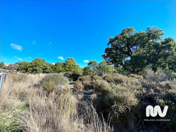 Land In Estepona, Spain (500 M² Plot)