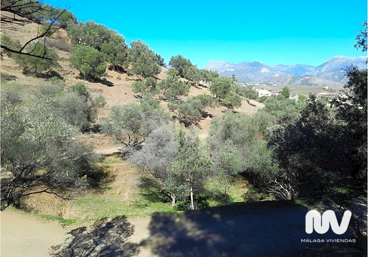 Land In Nerja, Spain (10.666 M² Plot)