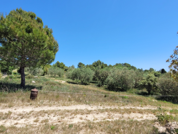 8-bedroom Detached House In Bize Minervois, France (319 M²)