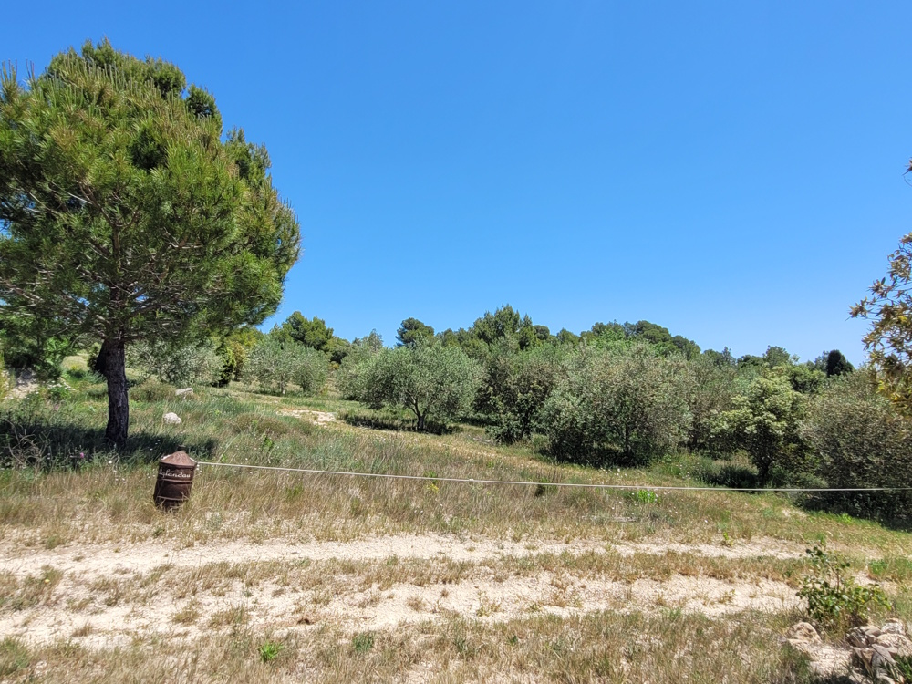 8-bedroom Detached House In Bize Minervois, France (319 M²)