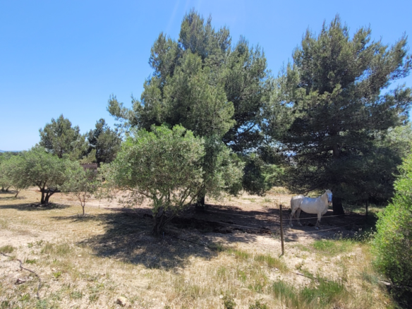8-bedroom Detached House In Bize Minervois, France (319 M²)