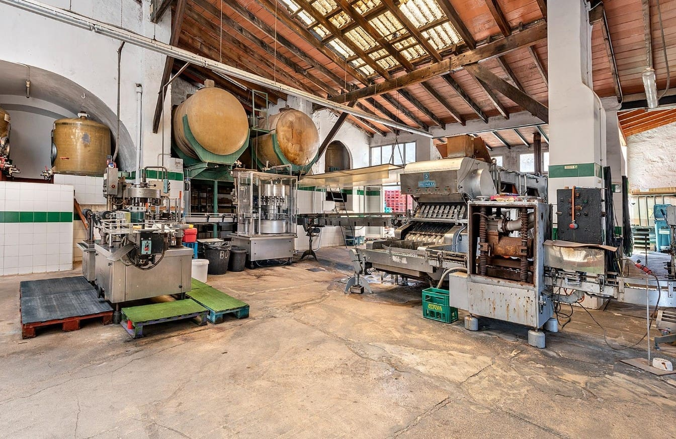 Commercial In Binissalem, Spain (1.228 M²)
