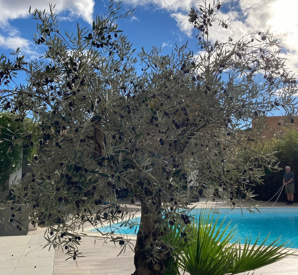 5-bedroom Detached House In Beziers, France (200 M²)