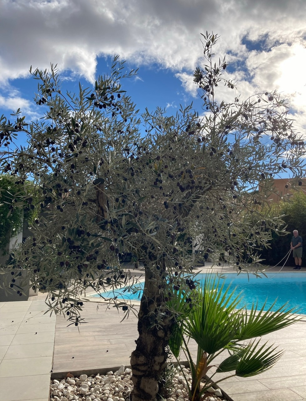 5-bedroom Detached House In Beziers, France (200 M²)