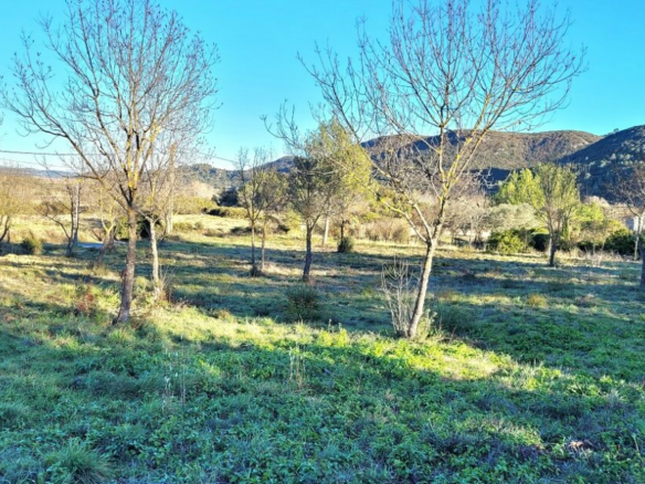 Land In Saint Chinian, France (2.048 M² Plot)