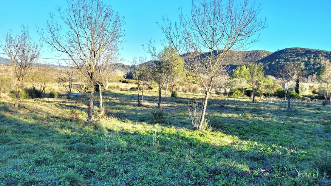 Land In Saint Chinian, France (2.048 M² Plot)