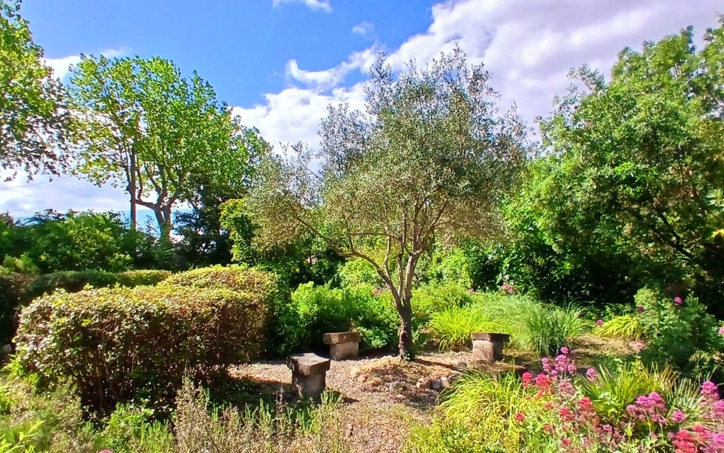 6-bedroom Detached House In Saint Chinian, France (217 M²)