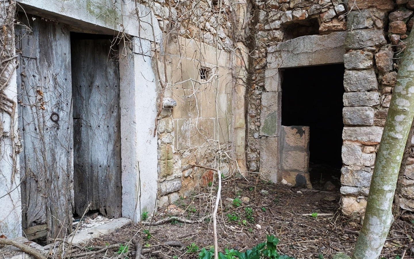 Village House In Binissalem, Spain (784 M²)