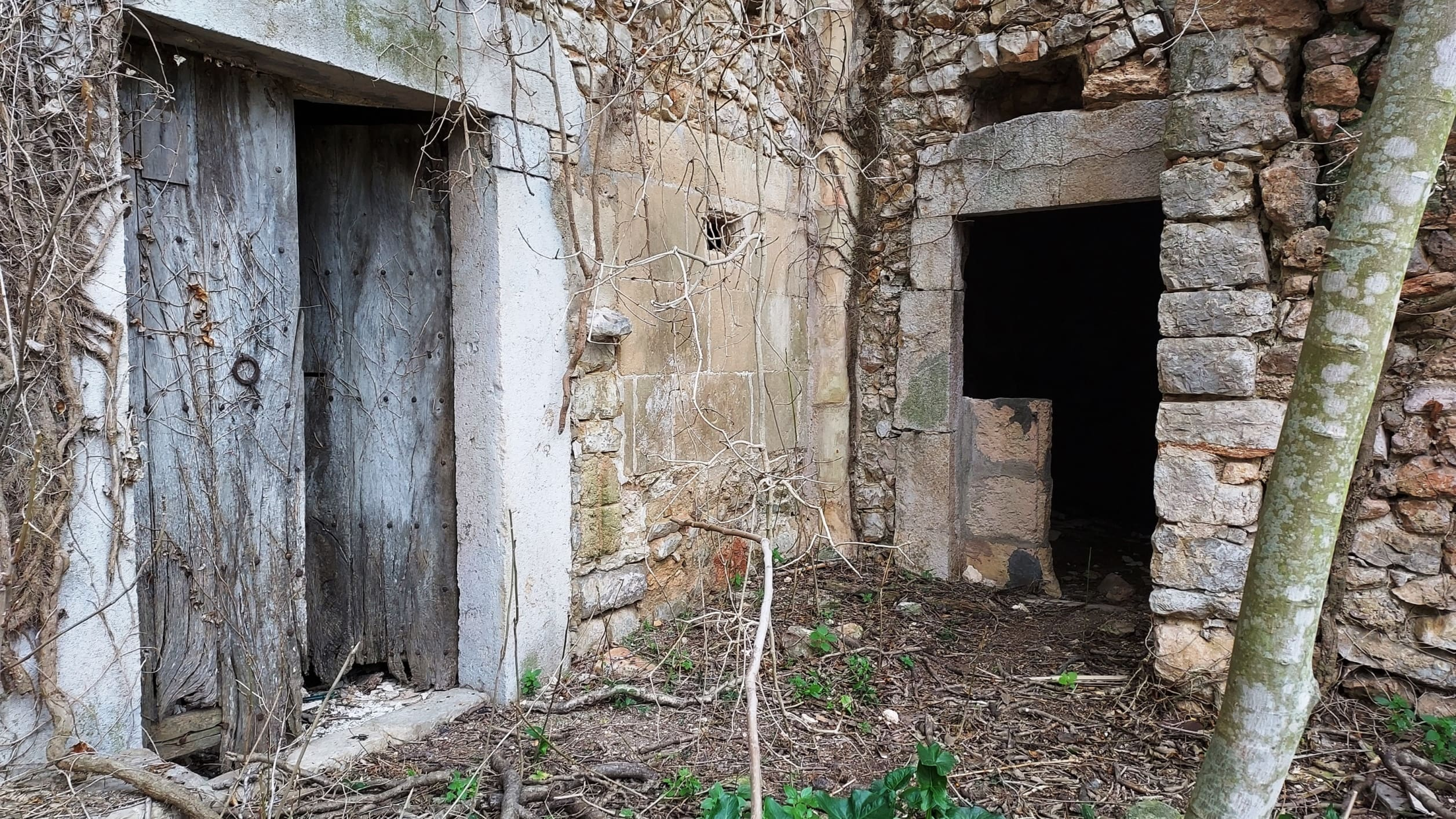 Village House In Binissalem, Spain (784 M²)