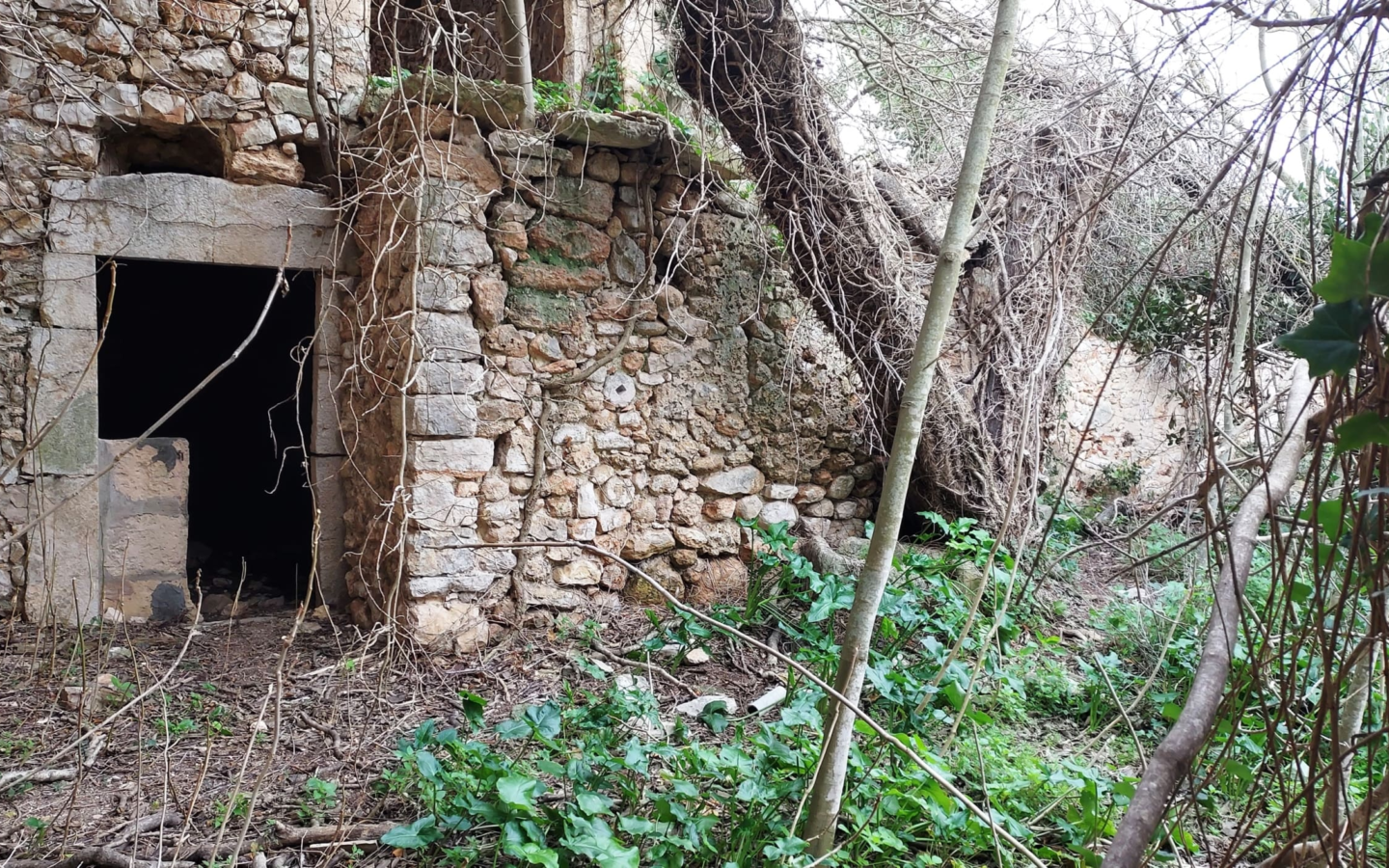 Village House In Binissalem, Spain (784 M²)