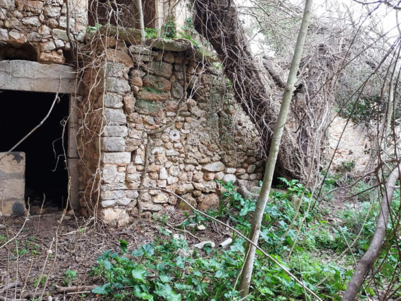 Village House In Binissalem, Spain (784 M²)