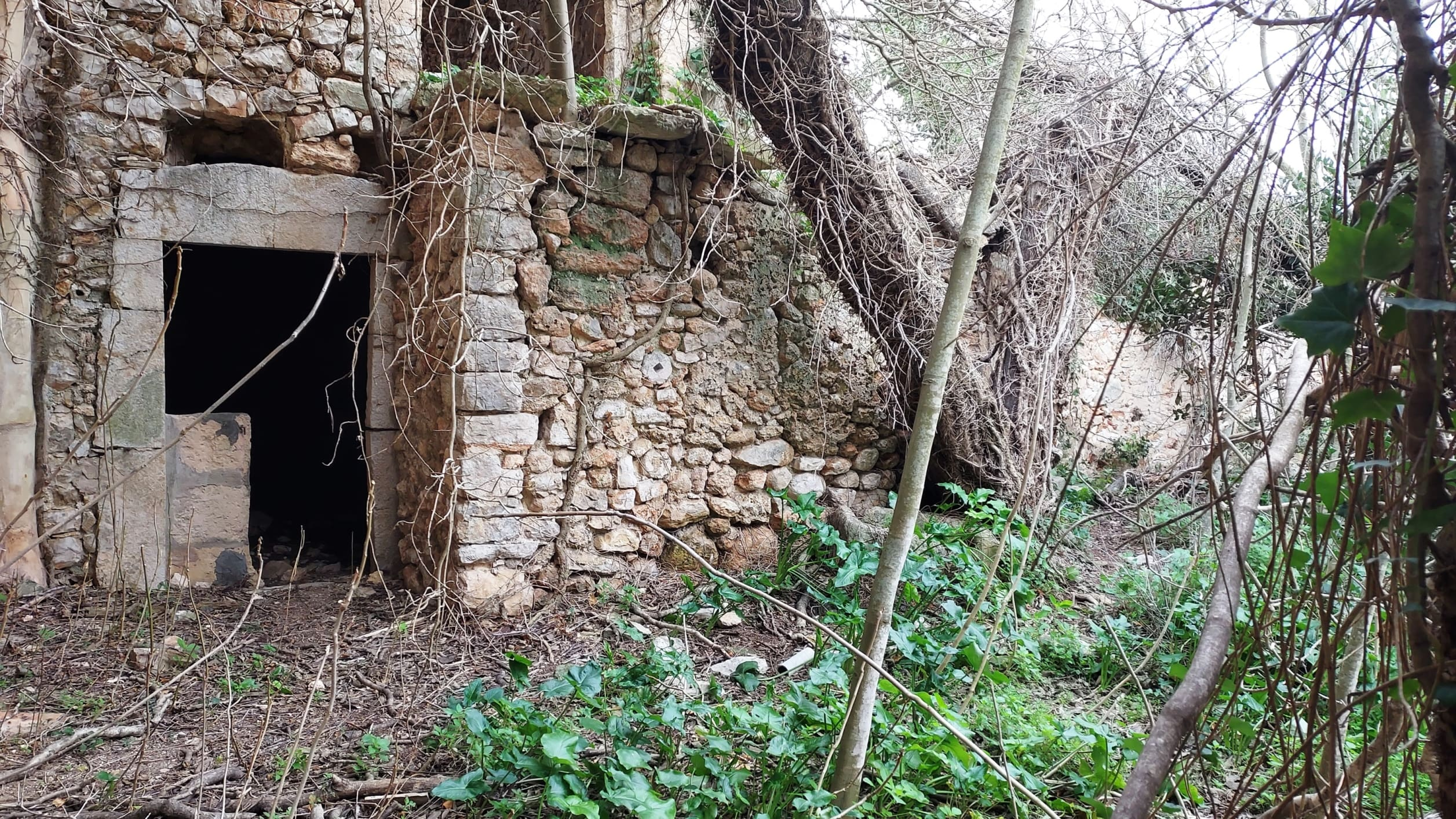 Village House In Binissalem, Spain (784 M²)