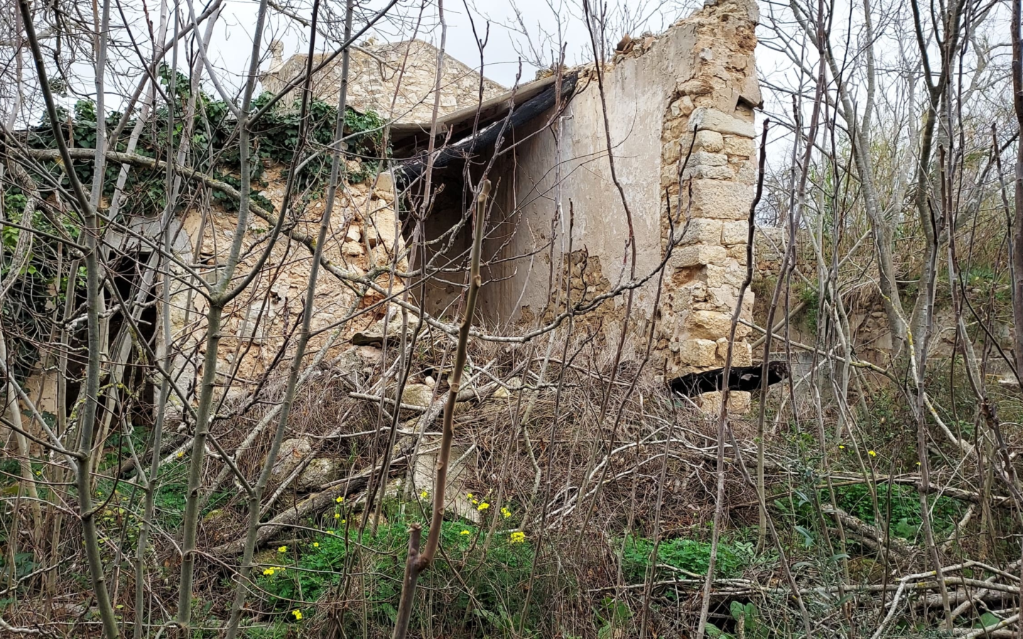 Village House In Binissalem, Spain (784 M²)