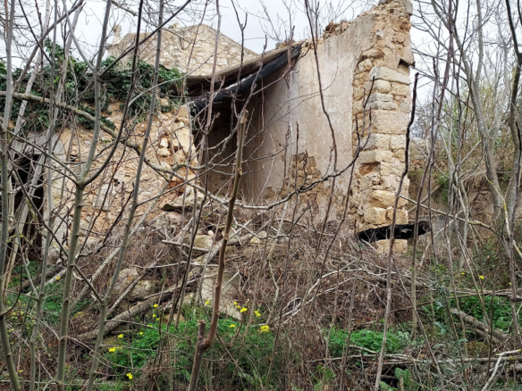 Village House In Binissalem, Spain (784 M²)