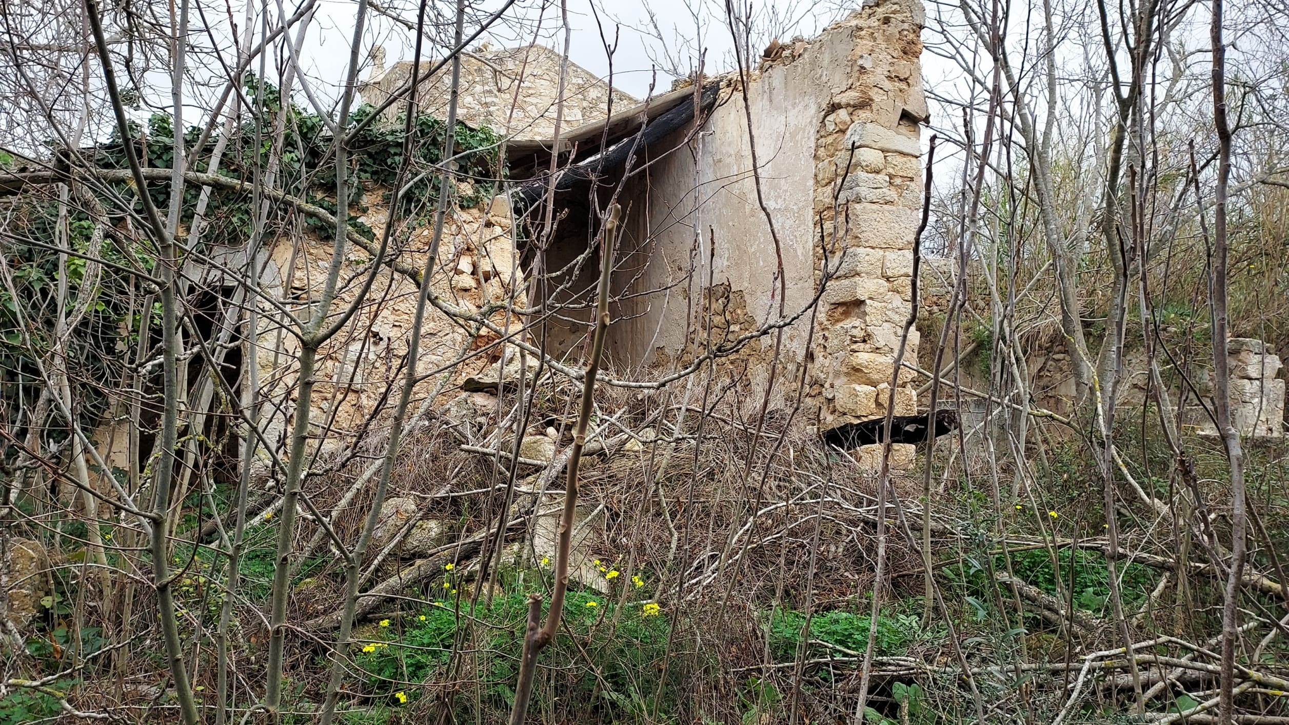 Village House In Binissalem, Spain (784 M²)