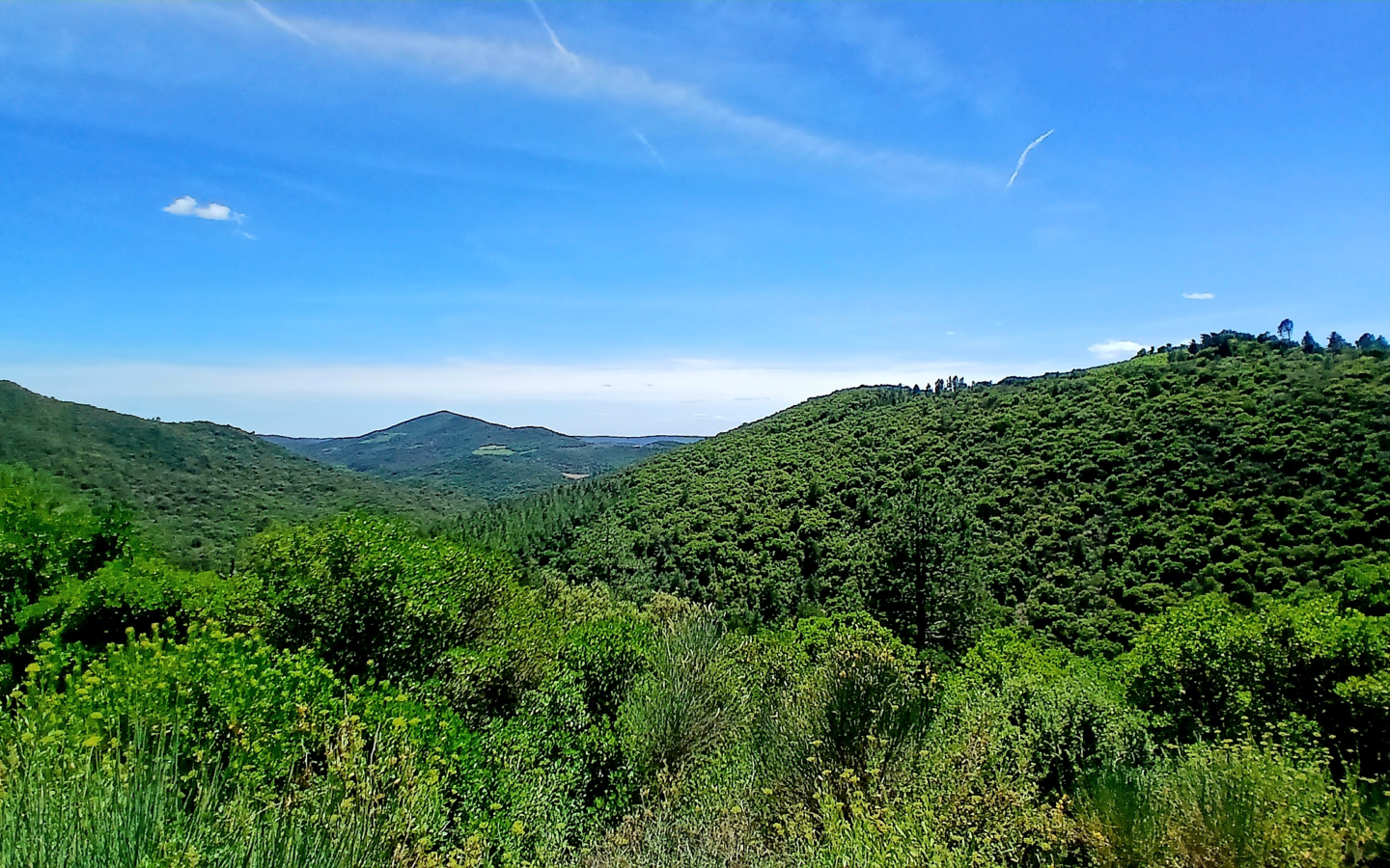 4-bedroom House In Roquebrun, France (137 M²)