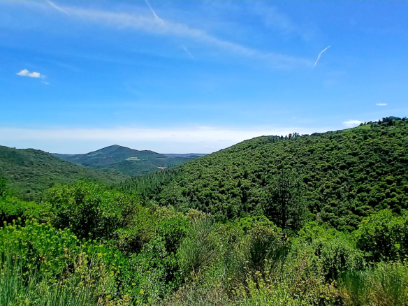 4-bedroom House In Roquebrun, France (137 M²)