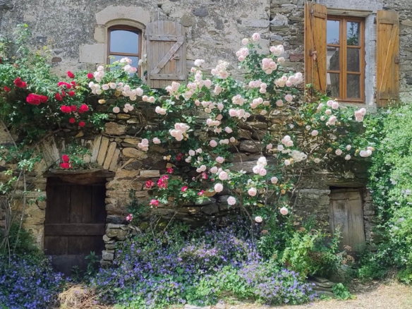 4-bedroom House In Roujan, France (160 M²)