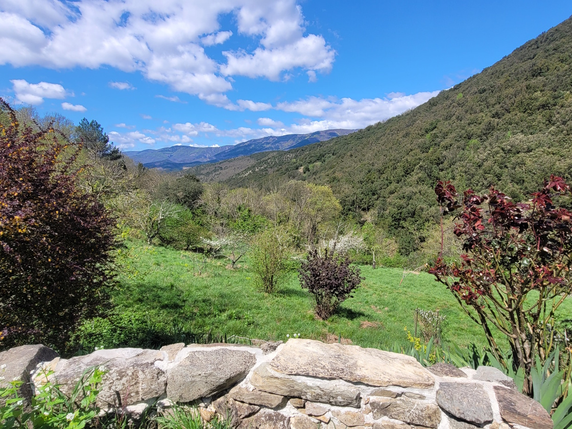 5-bedroom House In Olargues, France (168 M²)
