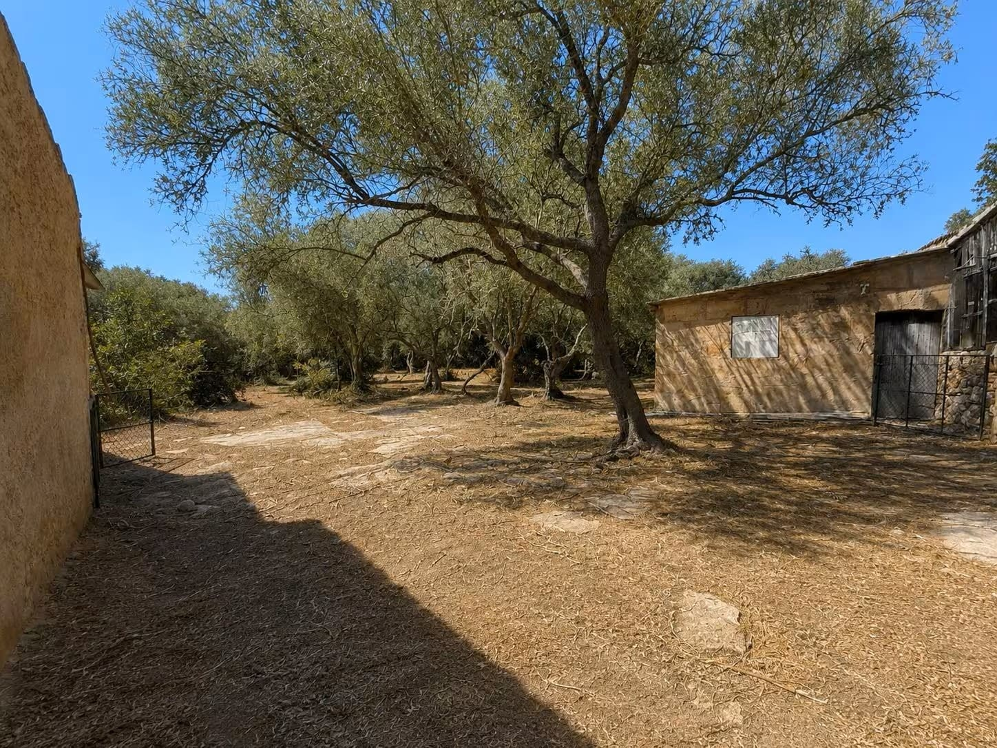 Finca In Costitx
