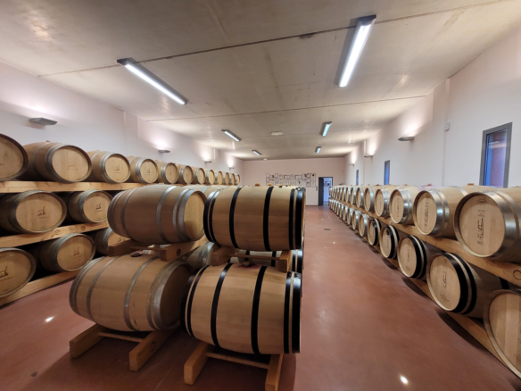2-bedroom Commercial In Beziers, France (840 M²)
