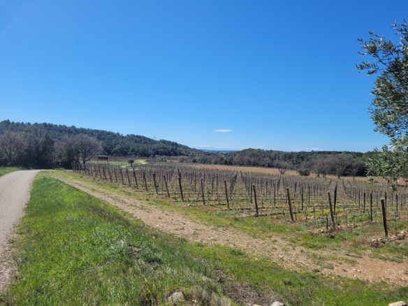 2-bedroom Commercial In Beziers, France (840 M²)