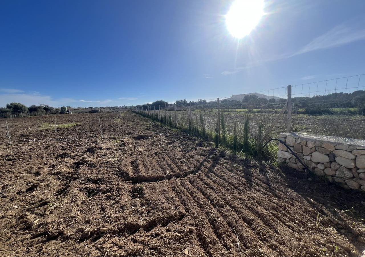 3-bedroom Finca In Algaida, Spain (439 M²)