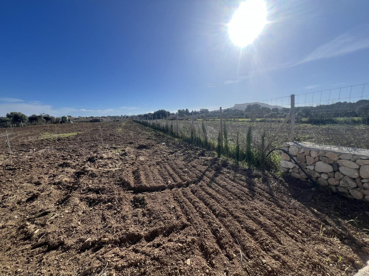 Land-Algaida-1-080fae 3-bedroom Finca In Algaida, Spain (439 M²)