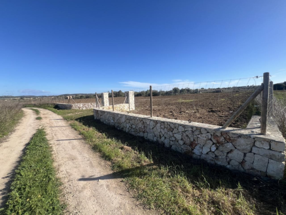 3-bedroom Finca In Algaida, Spain (439 M²)