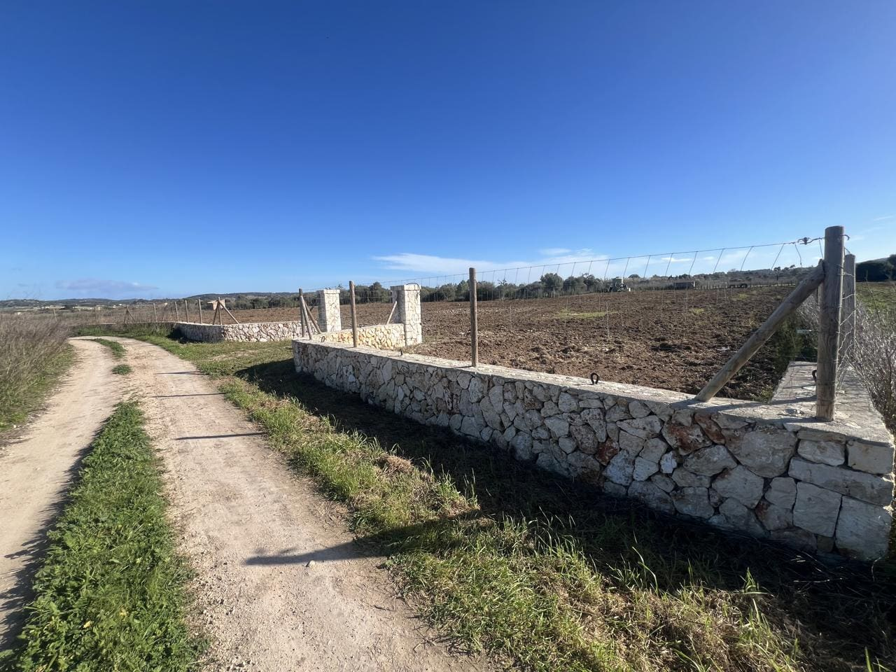 Land-Algaida-2-78224f 3-bedroom Finca In Algaida, Spain (439 M²)