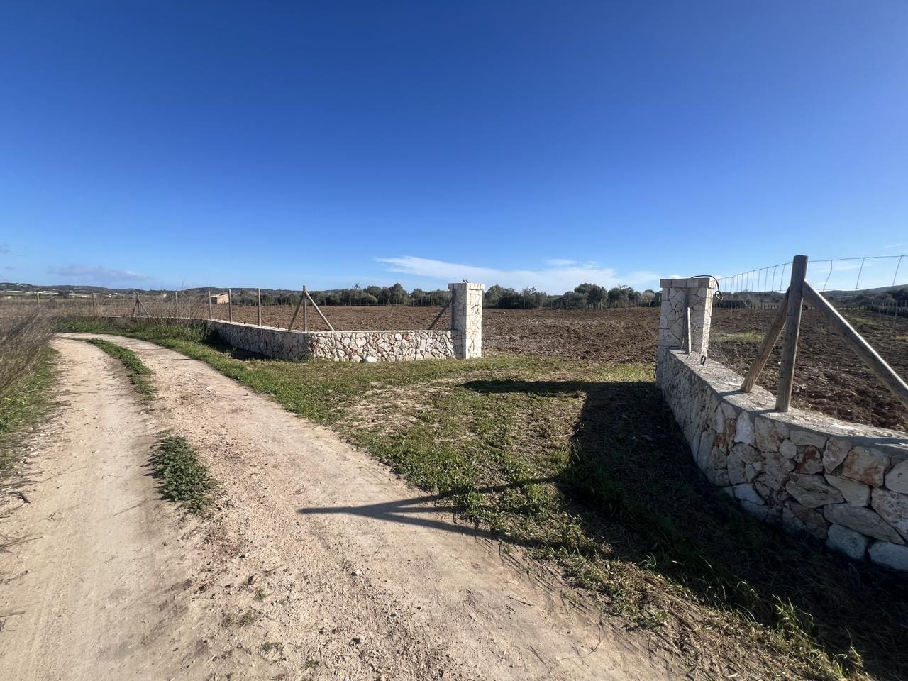 Land-Algaida-3-760532 3-bedroom Finca In Algaida, Spain (439 M²)