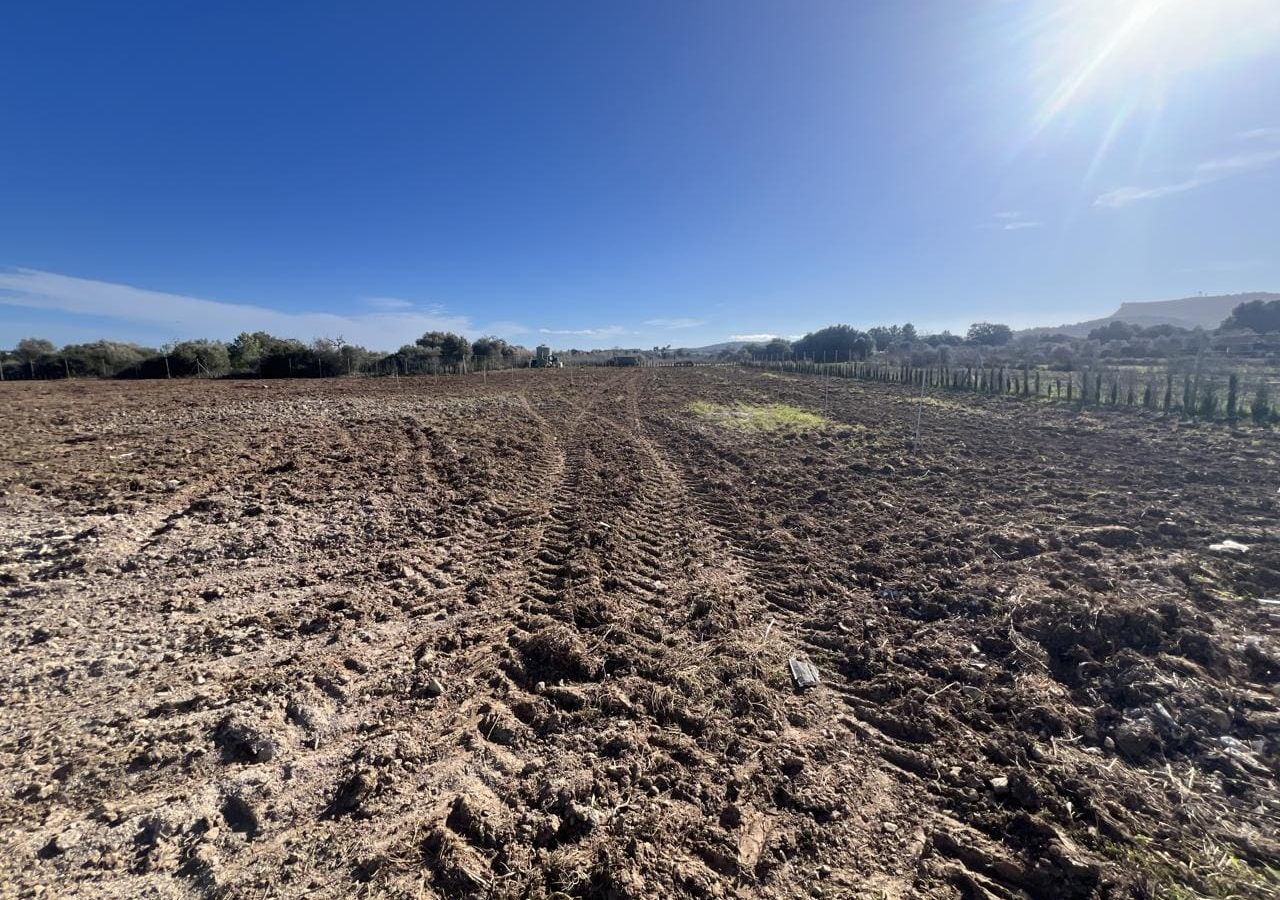 3-bedroom Finca In Algaida, Spain (439 M²)