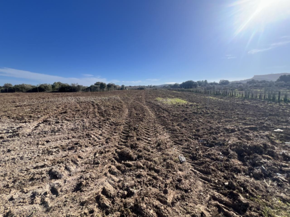 3-bedroom Finca In Algaida, Spain (439 M²)
