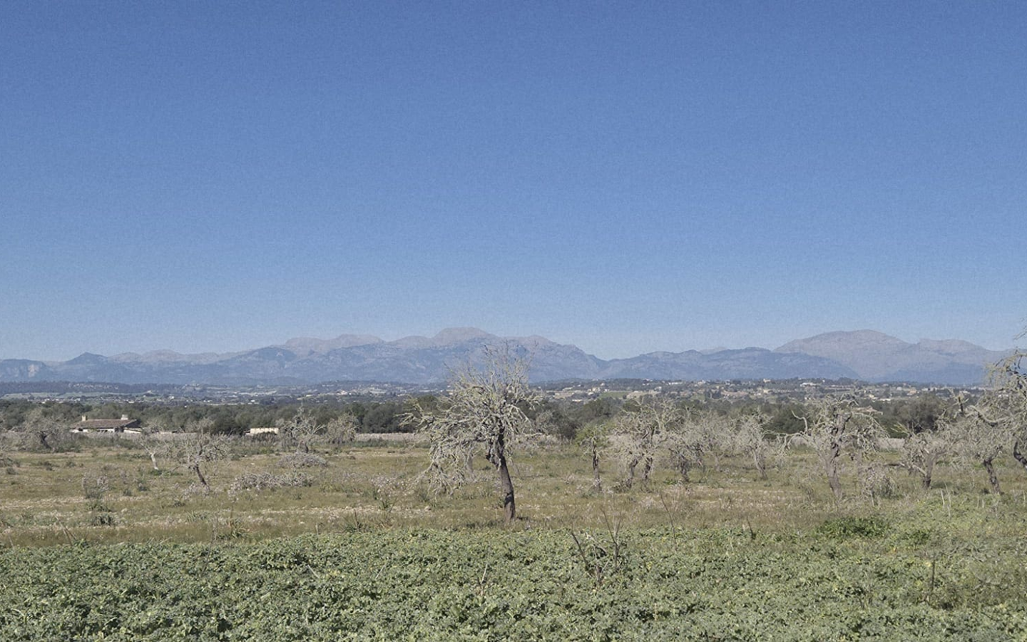 Land In Ariany, Spain (126 M²)
