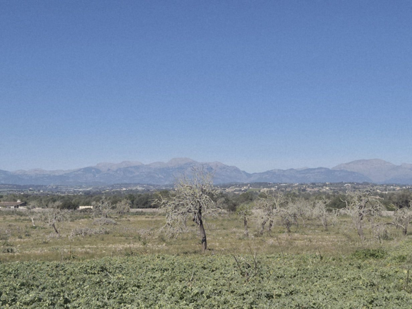 Land In Ariany, Spain (126 M²)