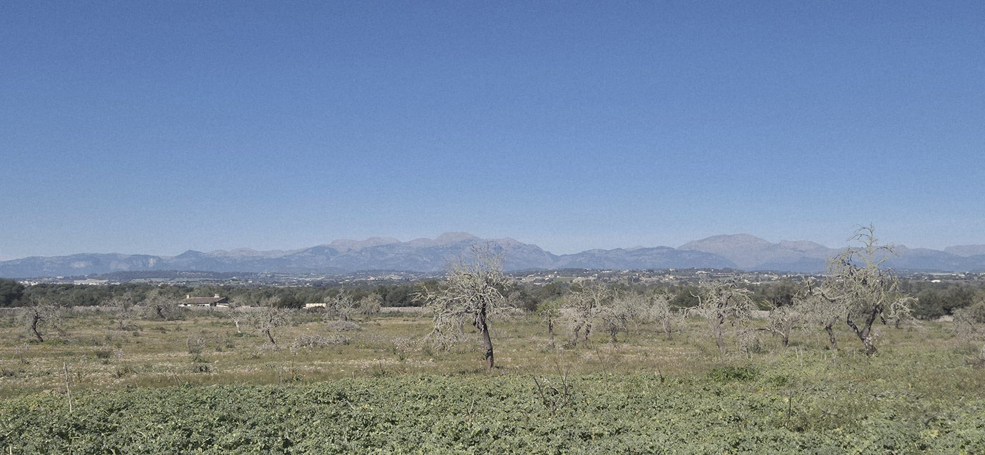 Land In Ariany, Spain (126 M²)