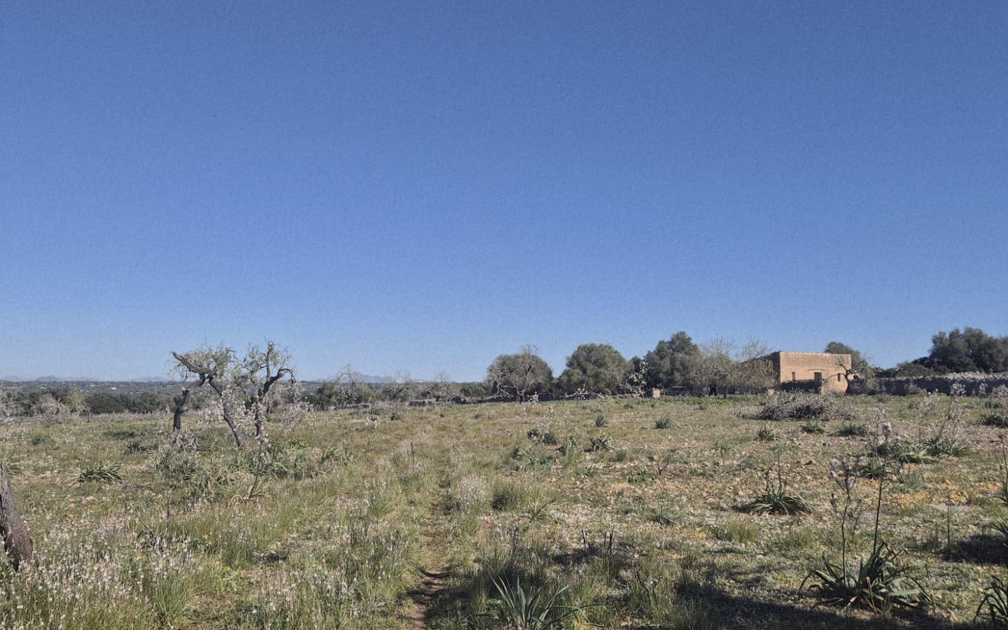 Land In Ariany, Spain (126 M²)