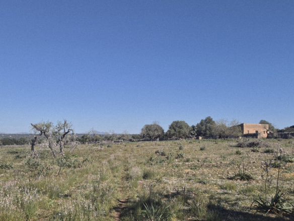 Land In Ariany, Spain (126 M²)