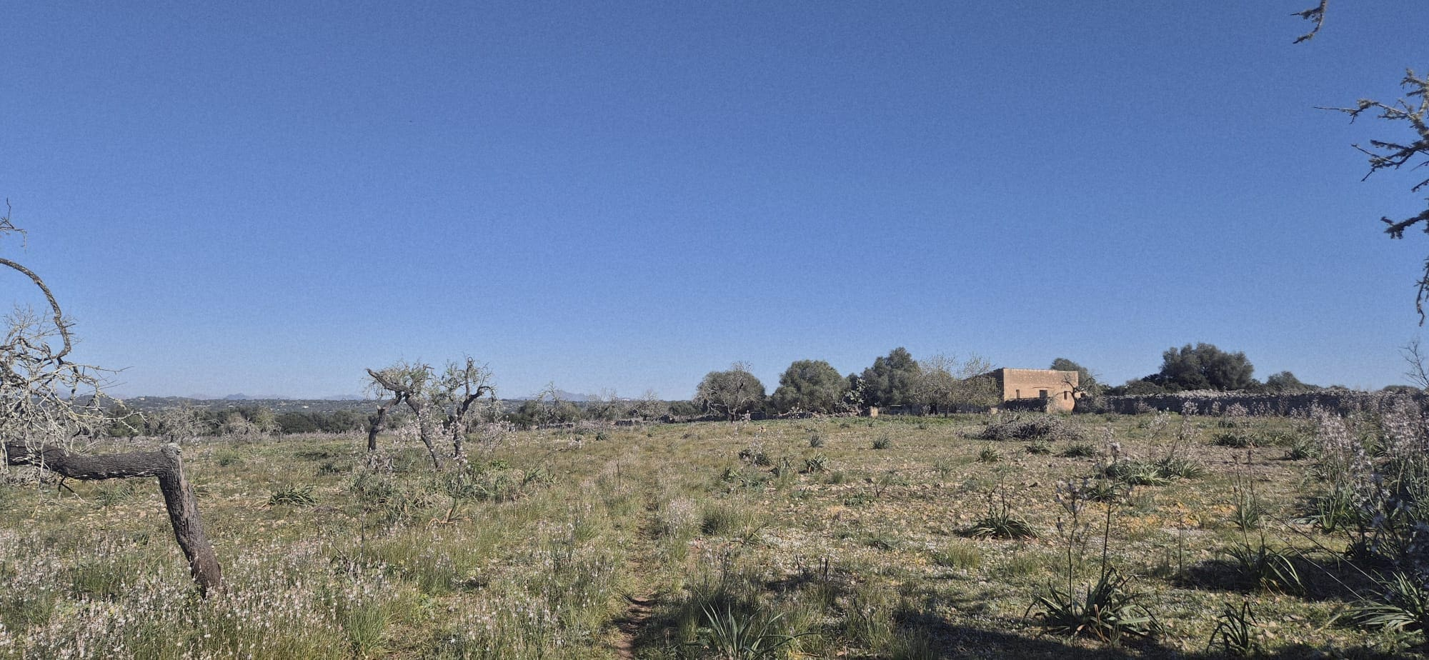 Land In Ariany, Spain (126 M²)