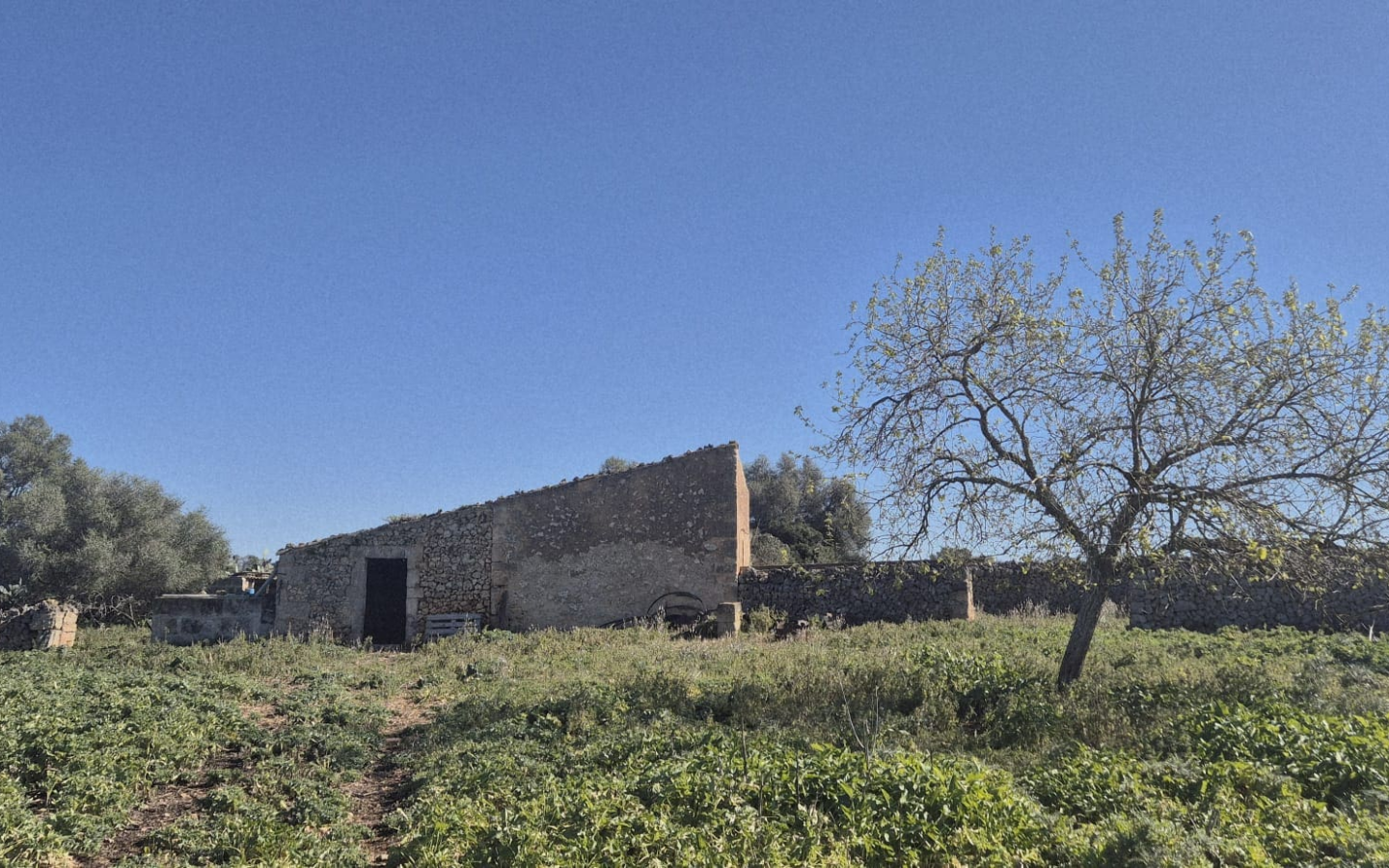 Land In Ariany, Spain (126 M²)