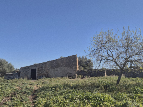 Land In Ariany, Spain (126 M²)