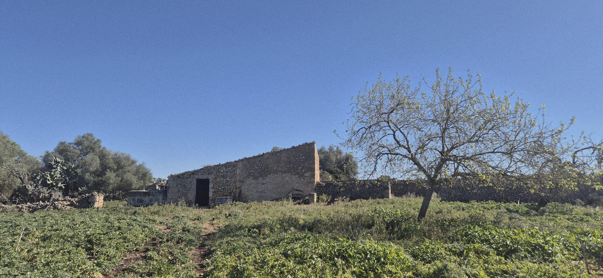 Land In Ariany, Spain (126 M²)