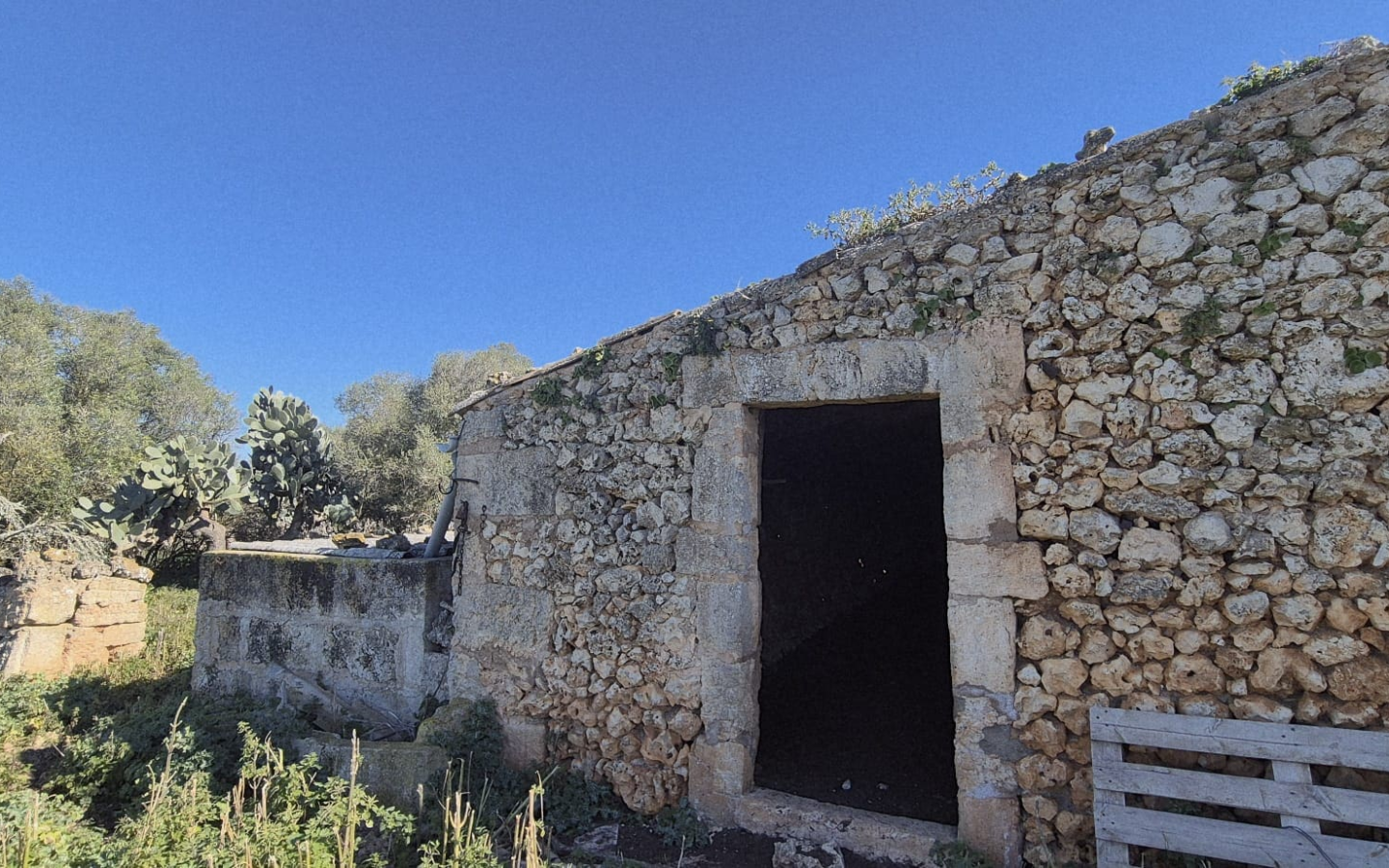 Land In Ariany, Spain (126 M²)