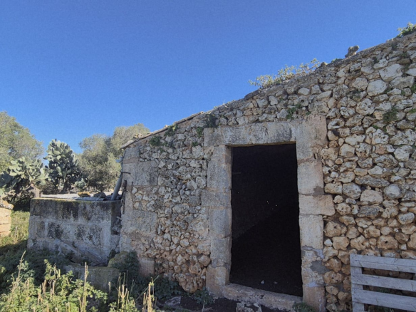 Land In Ariany, Spain (126 M²)