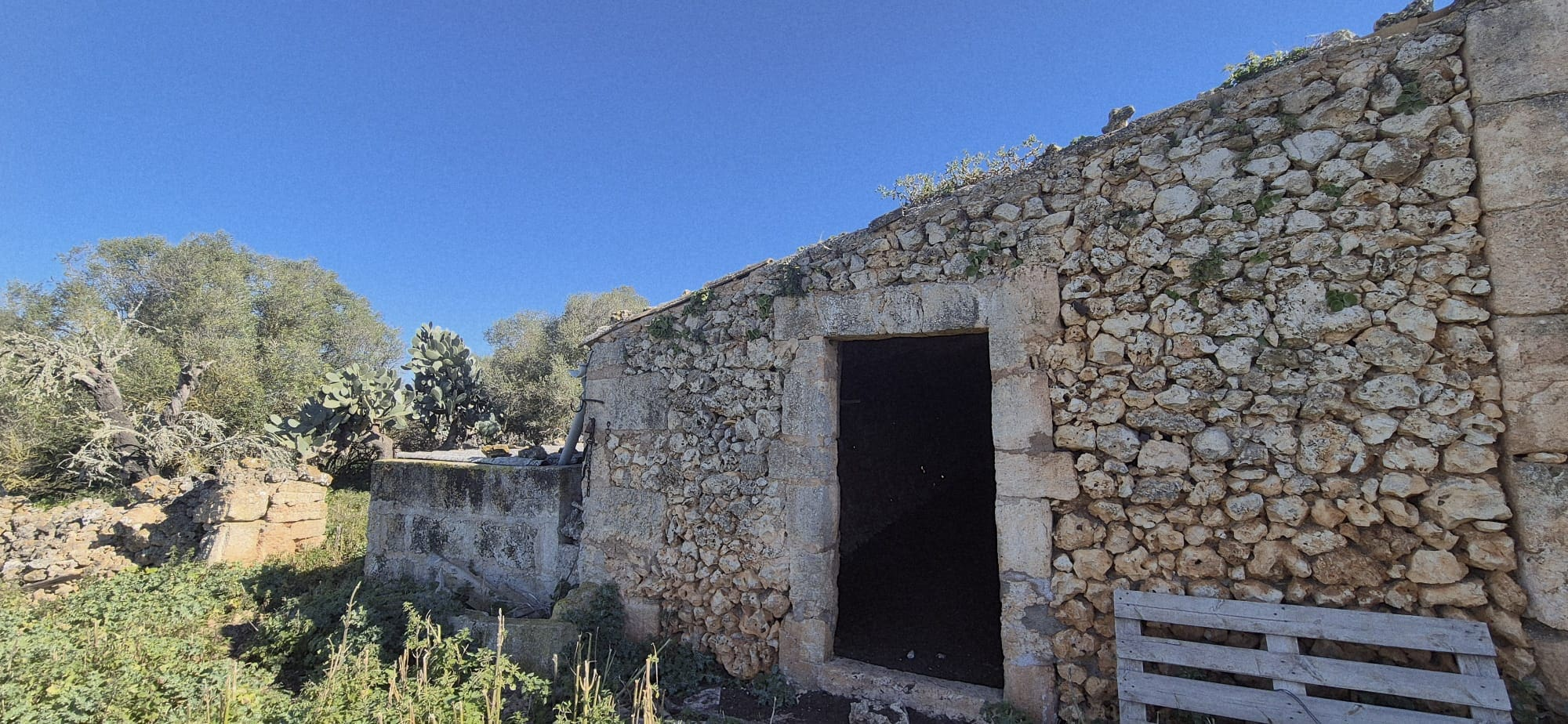 Land In Ariany, Spain (126 M²)